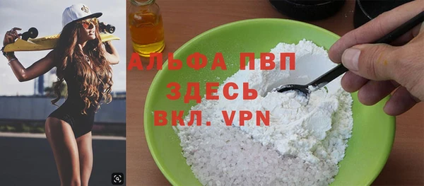 стаф Белокуриха