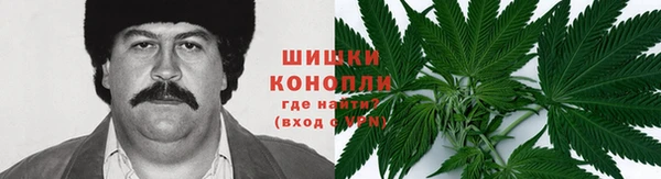 стаф Белокуриха