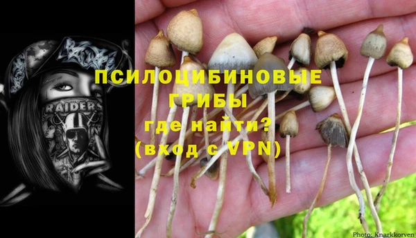 стаф Белокуриха
